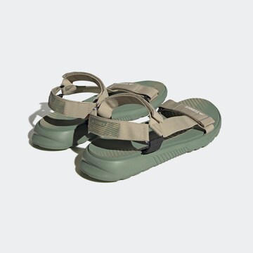 ADIDAS TERREX Sandalen in Groen