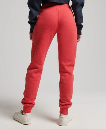 Superdry Tapered Pants in Red