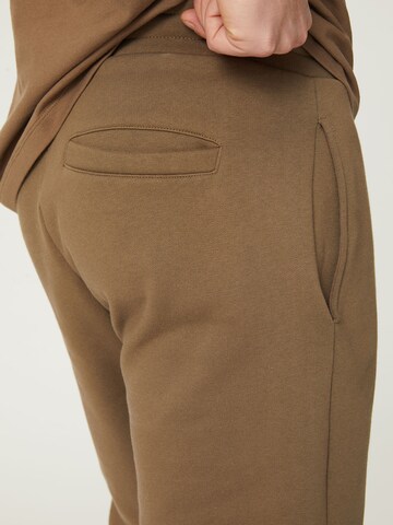 DAN FOX APPAREL Tapered Trousers 'Danilo' in Brown