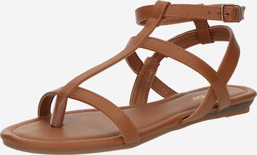 ABOUT YOUJapanke 'Melissa' - smeđa boja: prednji dio