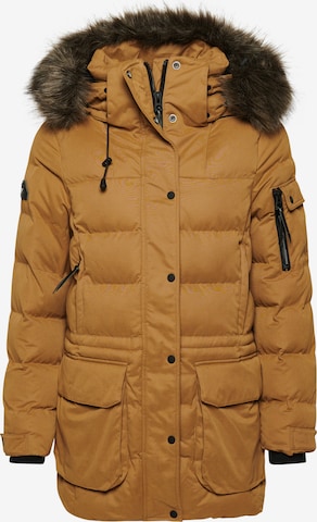 Superdry Winterparka in Bruin: voorkant