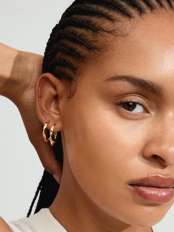 Pilgrim Earrings 'Dawn' in Gold: front