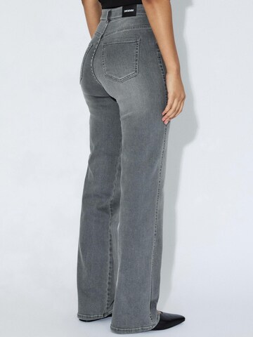 Dr. Denim Slim fit Jeans 'Moxy High Straight Jeans' in Grey