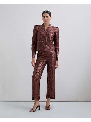 Scalpers Regularen Hlače ' ' | mešane barve barva