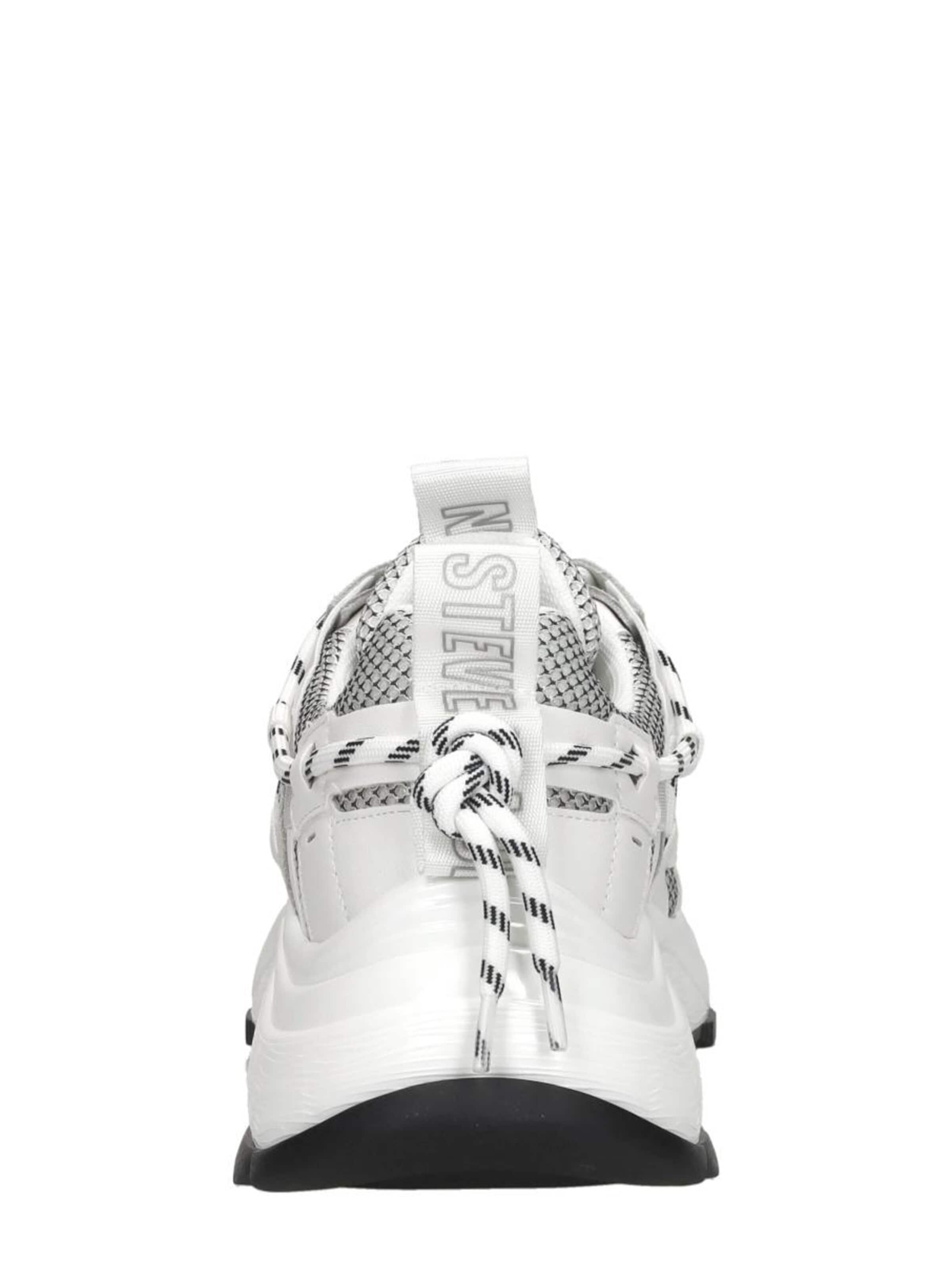 STEVE MADDEN Sneakers 'Tazmania' in White