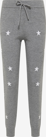 IZIA - Pantalón en gris: frente