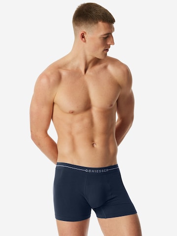 Boxers ' Cotton Flex ' SCHIESSER en bleu