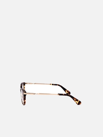 Kate Spade Sunglasses in Brown