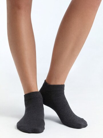 Albero Natur Ankle Socks 'Bio-Baumwoll-Sneakersocken Unisex - 4er Pack' in Grey