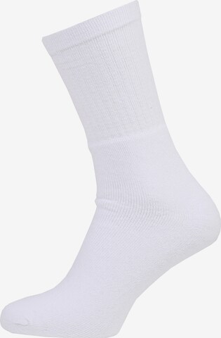 Albert Schäfer Socken in Weiß