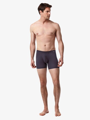 Boxers Blackspade en gris : devant
