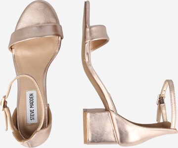 STEVE MADDEN Strap Sandals 'IRENEE' in Gold