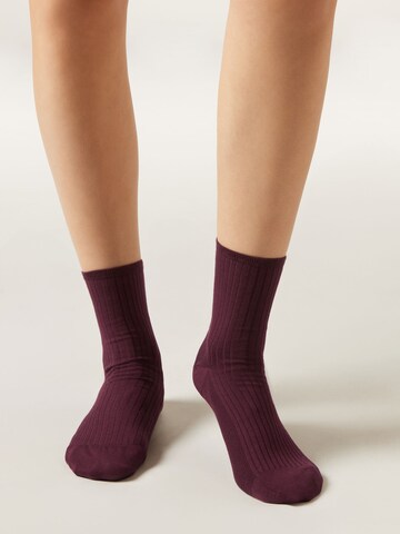 CALZEDONIA Socken in Rot: Vorderseite