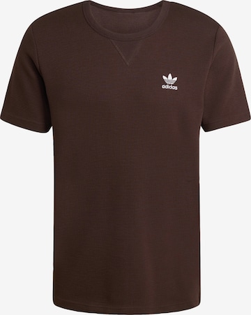 T-Shirt 'Trefoil Essentials' ADIDAS ORIGINALS en marron : devant