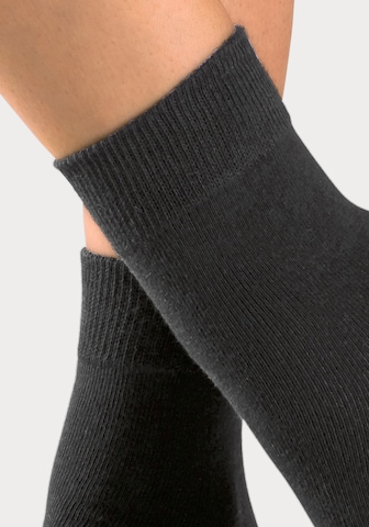 H.I.S Socks in Black