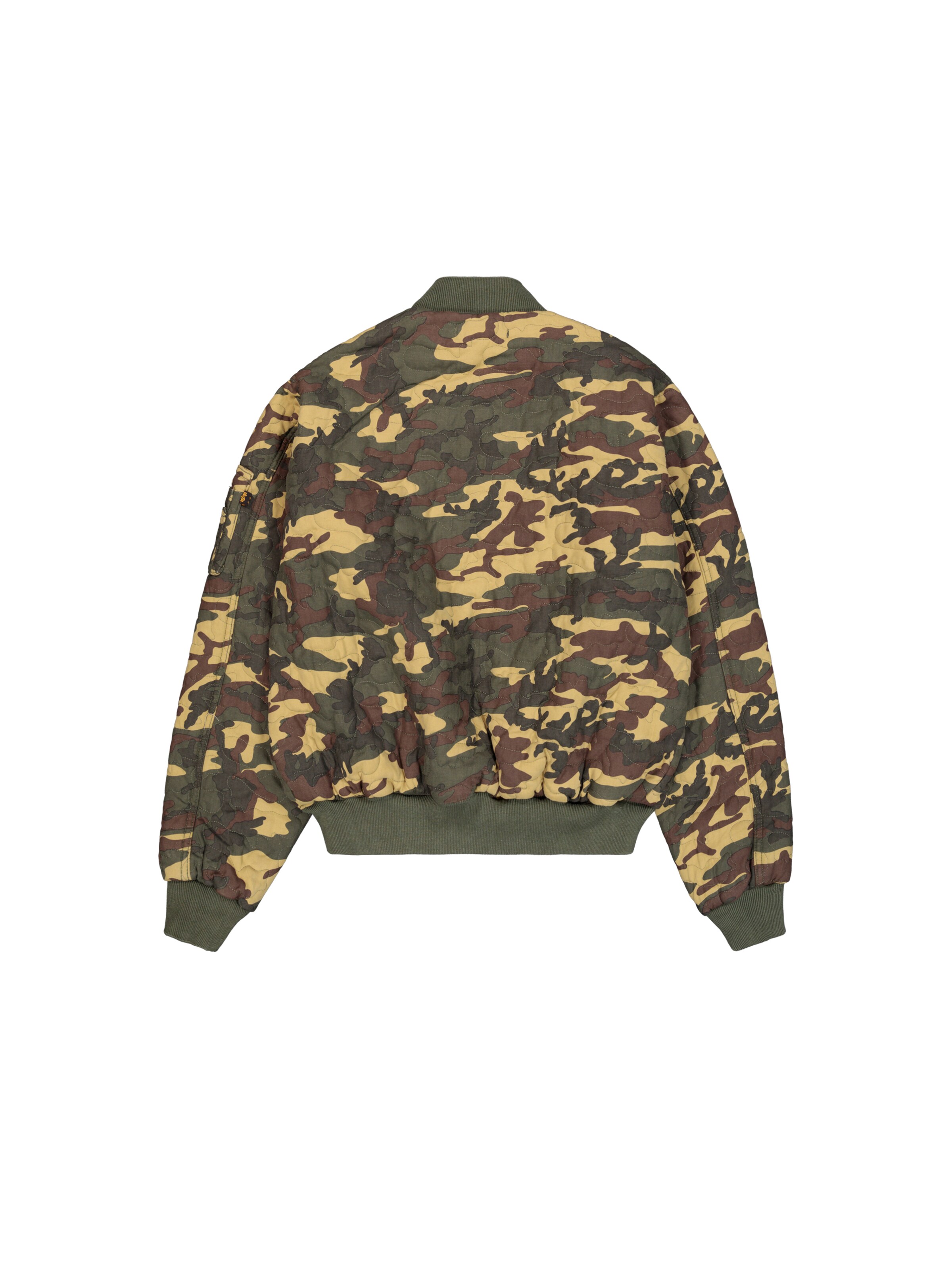 Giacca di mezza stagione di ALPHA INDUSTRIES in colori misti