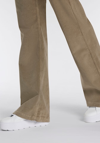 Herrlicher Flared Jeans in Brown