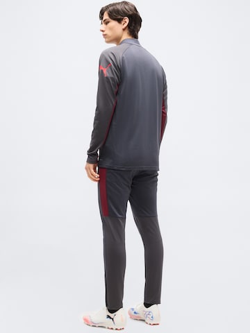 PUMA Trainingsanzug 'IndividualLIGA' in Grau