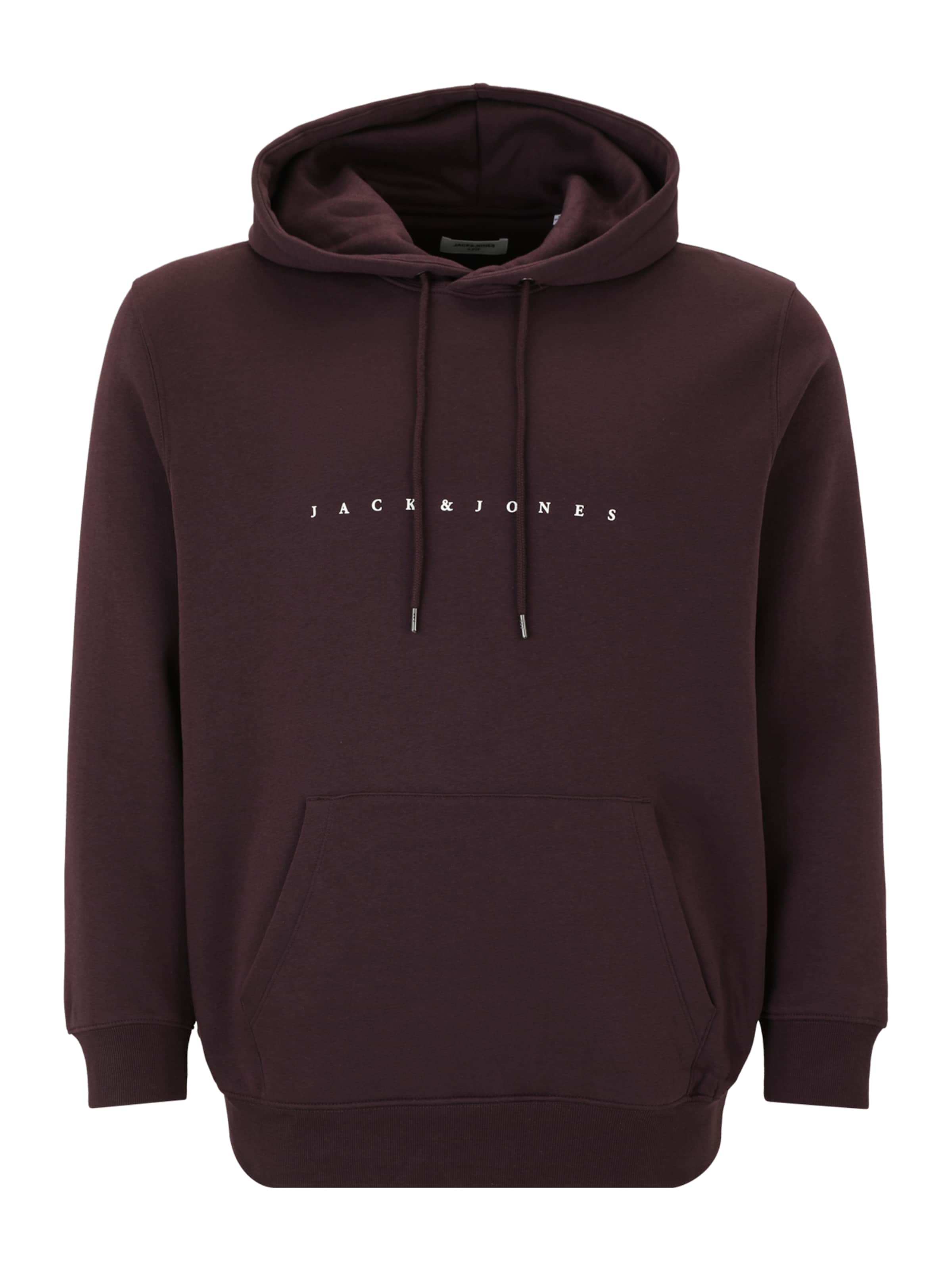 Jack & Jones Plus Μπλούζα φούτερ 'JJEStar' σε λιλά: μπροστά