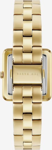 Ted Baker Analog Watch 'Mayse' in Gold