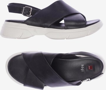 Högl Sandals & High-Heeled Sandals in 39 in Black: front