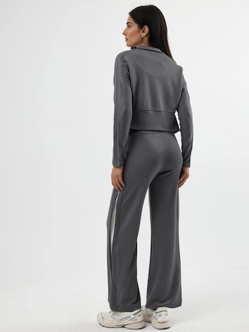 Hiccup Kostuum in Grijs