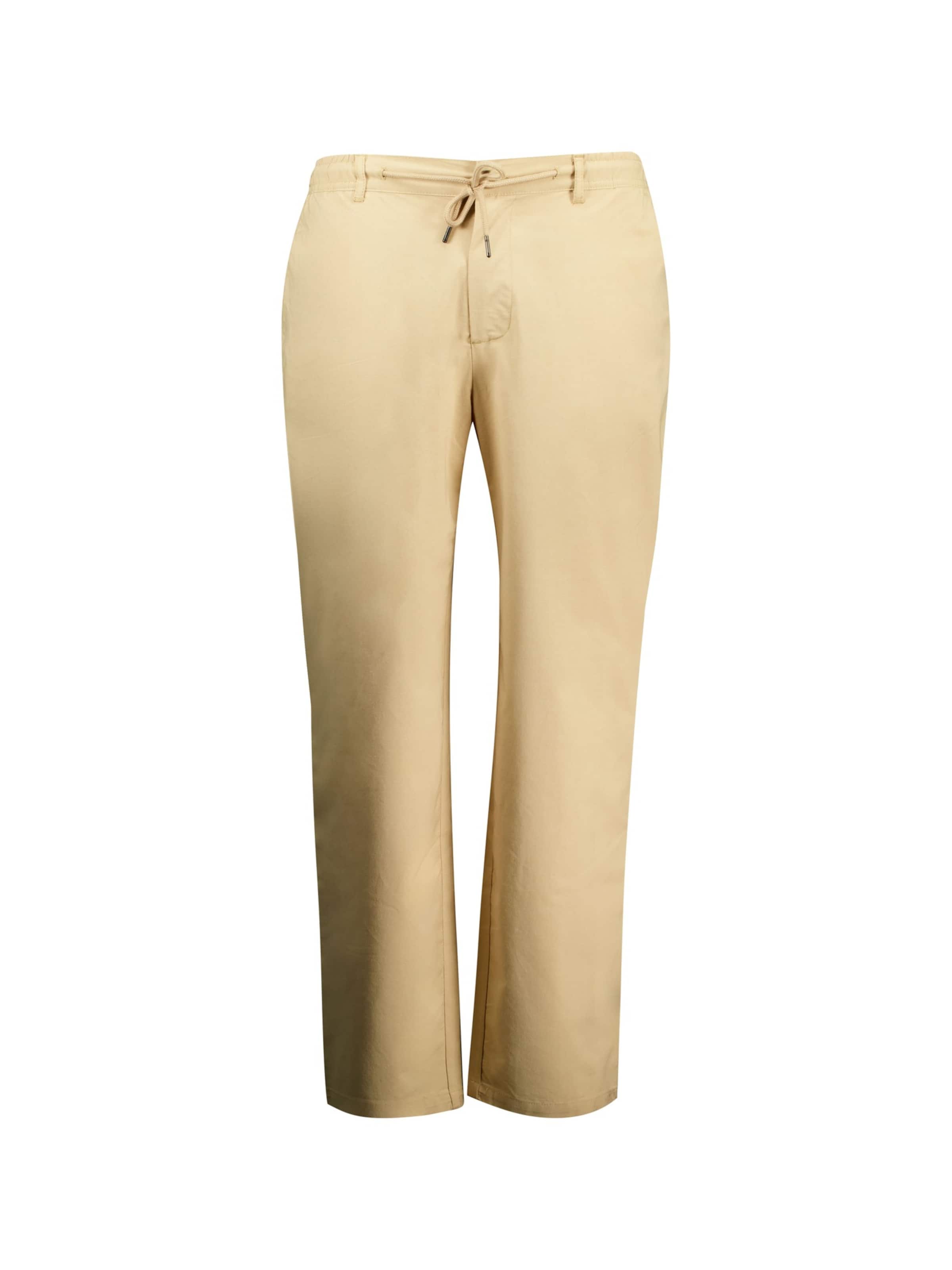 Regular Pantalon chino 'Jacks' Deeluxe en beige : devant