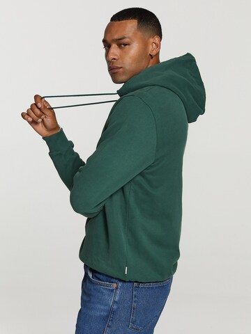 Shiwi Sweatshirt in Groen