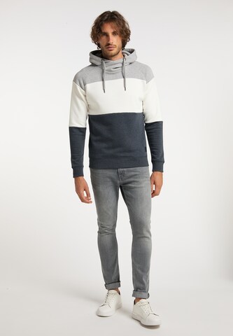 ALEKO Sweatshirt in Grau