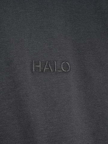 HALO Shirt in Grijs