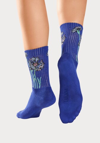 Chaussettes LASCANA en beige