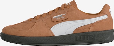 PUMA Matalavartiset tennarit 'Palermo' koossa 35,5 värissä ruskea / valkoinen, Tuotenäkymä