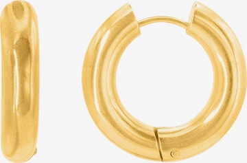 Heideman Earring 'Jakob' in Gold: front