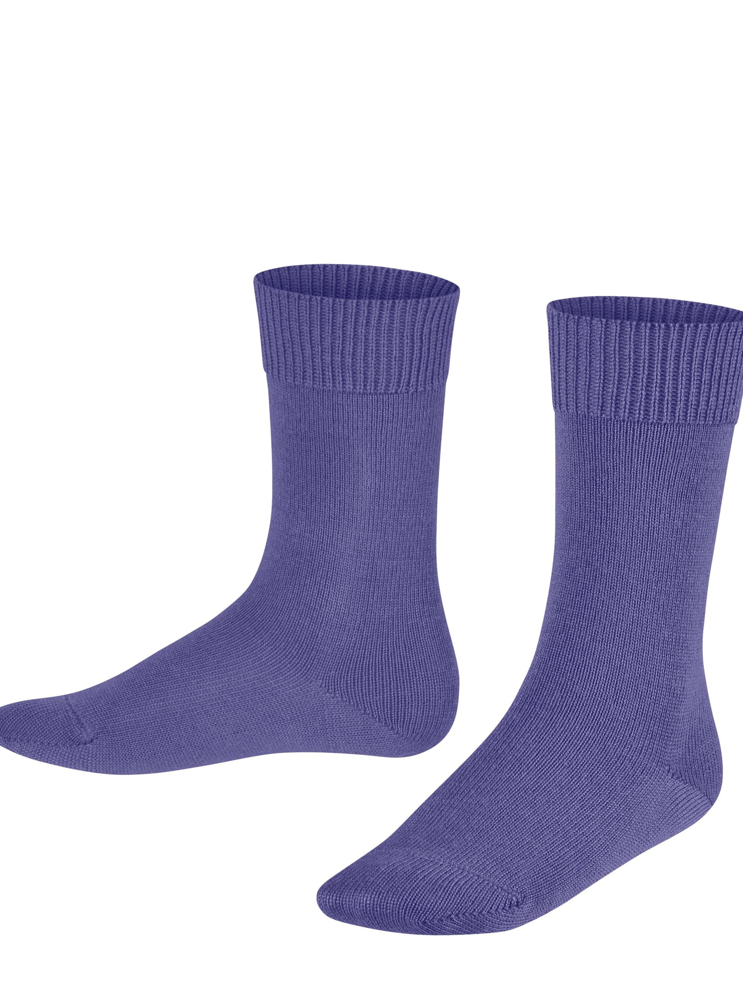 FALKE Socks 'Comfort Wool' in Purple: front