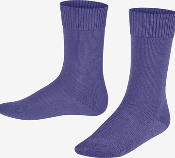 FALKE Socks 'Comfort Wool' in Purple: front