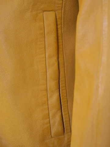 Jilani Tussenjas 'Kawelo' in Geel