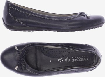 GEOX Flats & Loafers in 38 in Blue: front