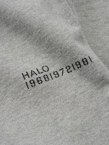 HALO Tapered Broek in Grijs