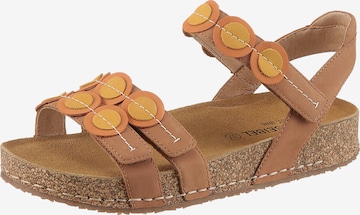 Sandales à lanières JOSEF SEIBEL en marron : devant