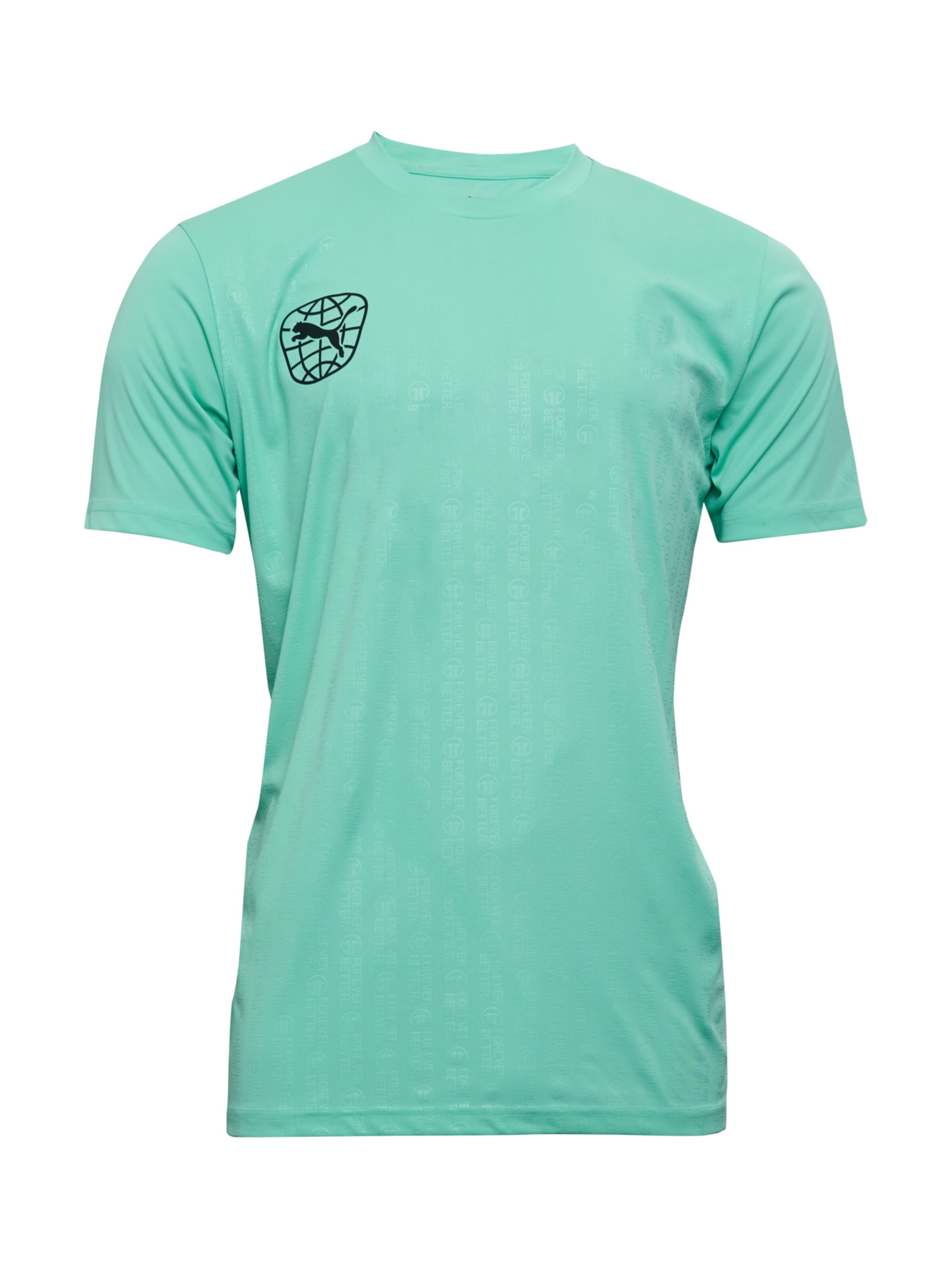 PUMA Funktionsshirt in Grün: Vorderseite