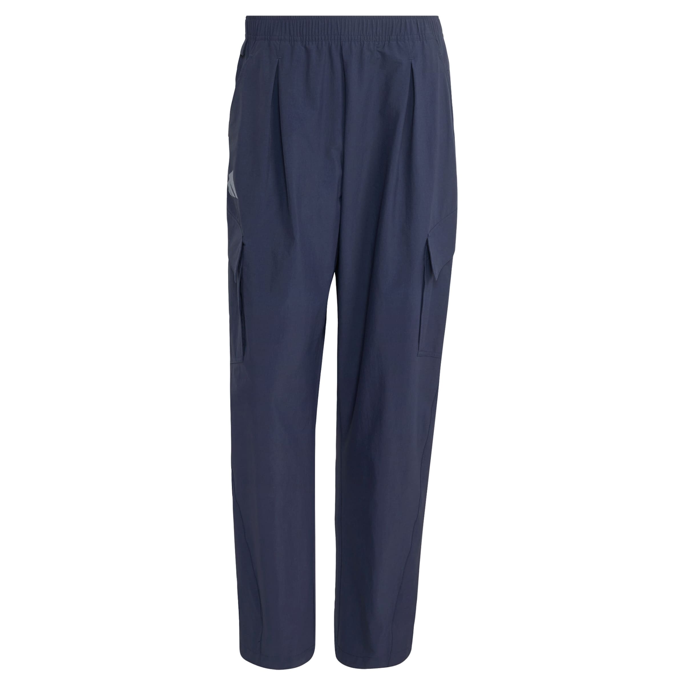 Loosefit Pantalon outdoor 'Xploric' ADIDAS TERREX en bleu : devant