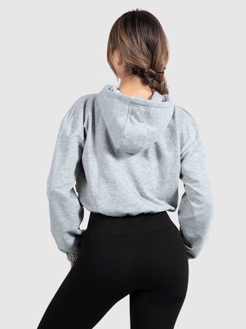 Sweat-shirt 'Abby' Smilodox en gris