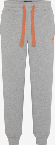 Polo Sylt Pants in Grey: front