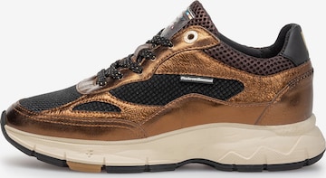 Floris van Bommel Sneaker 'Daysi 01' in Braun: Vorderseite