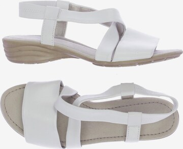 GABOR Sandals & High-Heeled Sandals in 39 in White: front