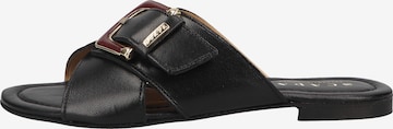 SCAPA Mules in Black