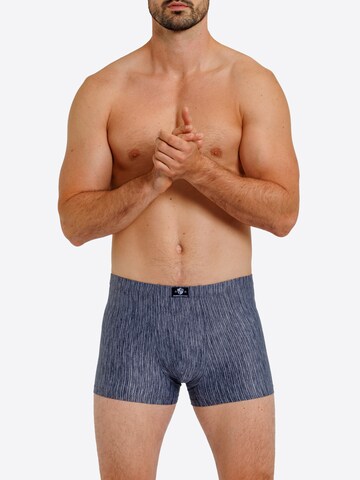 Haasis Bodywear Boxer shorts in Black