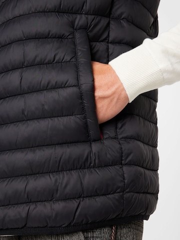 CINQUE Bodywarmer in Zwart