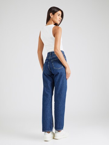 Dr. Denim Loosefit Jeans 'Echo' in Blau