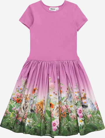Molo Dress 'Cissa' in Pink: front
